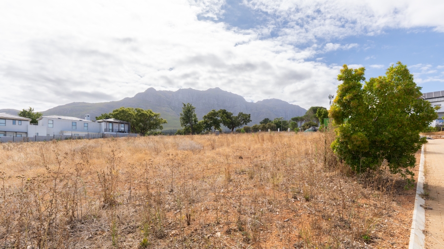 0 Bedroom Property for Sale in Le Hermitage Western Cape